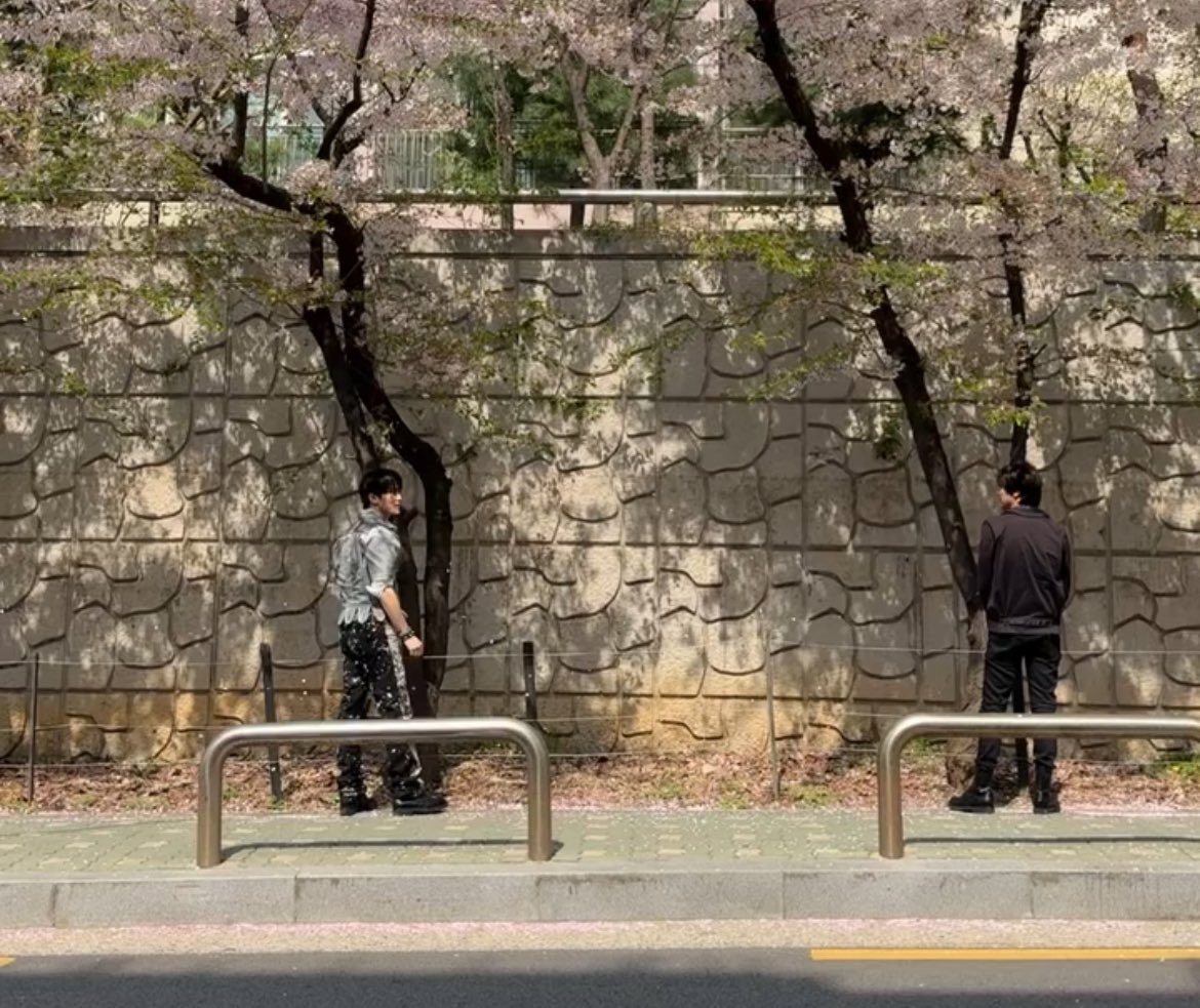 risa ᯓ ✈︎ 1st 🫑 tweet media