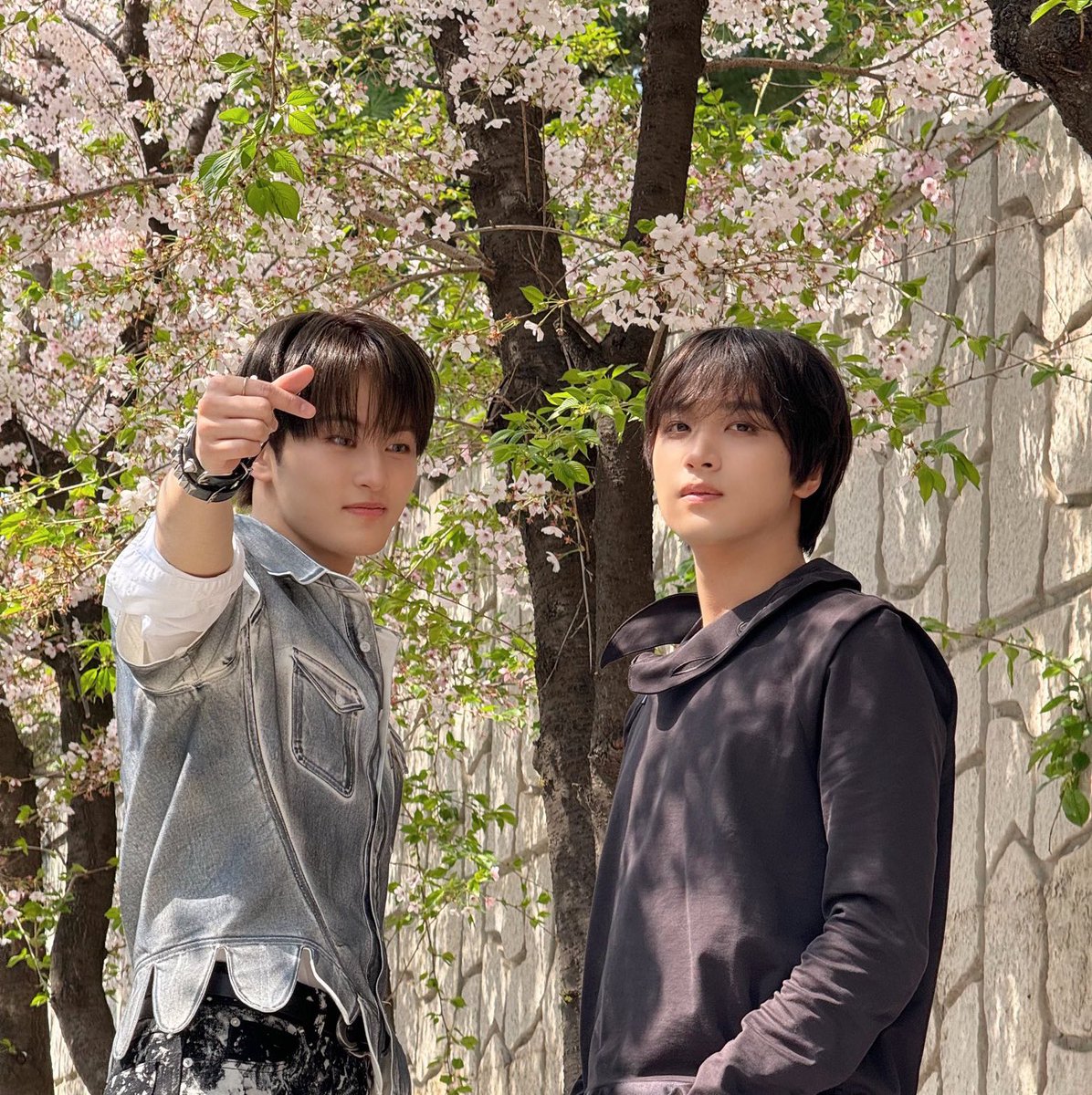 risa ᯓ ✈︎ 1st 🫑 tweet media