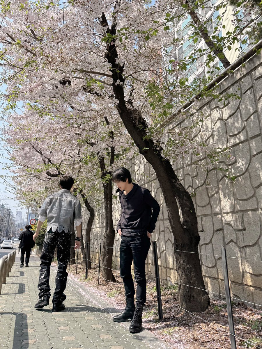 risa ᯓ ✈︎ 1st 🫑 tweet media