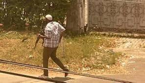 Sativa255's tweet photo. Repost 200 kwa mwana🫡 https://t.co/s7gkjaOF7j