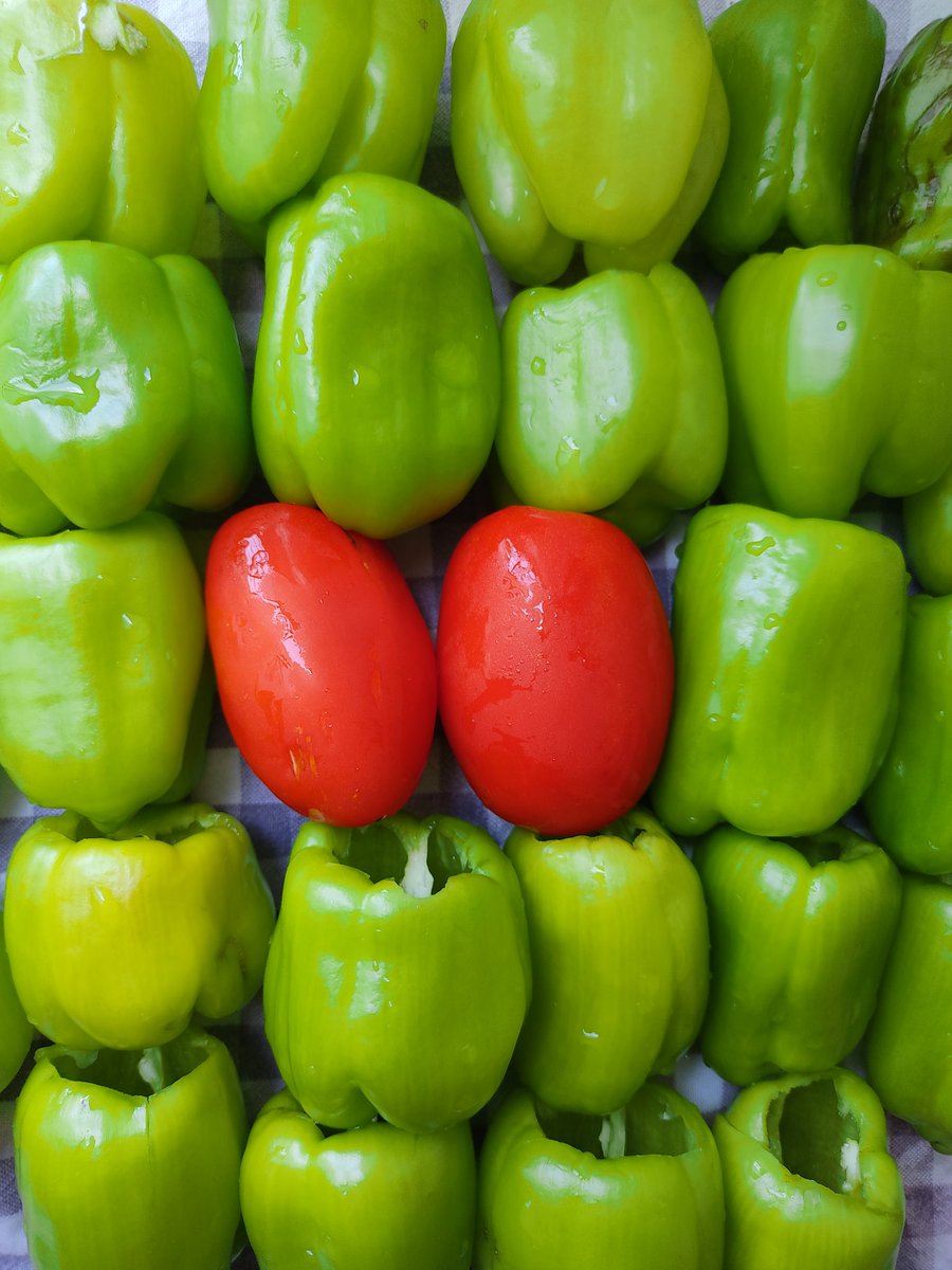 Kış hazırlıkları sürüyor