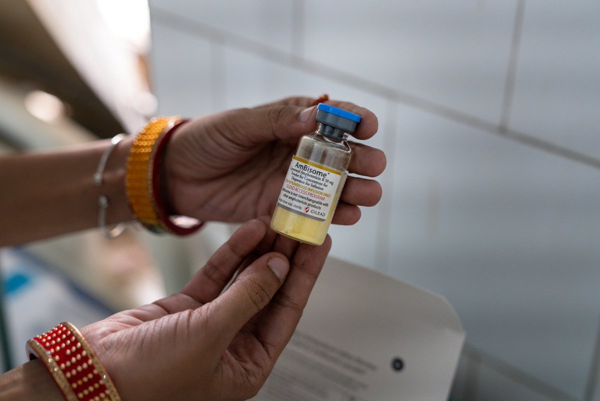 DNDi's tweet photo. Liposomal amphotericin B (LAmB) is a game-changer for people with visceral #leishmaniasis &amp; AIDS-related #cryptococcalmeningitis, with fewer side effects and shorter hospital stays.

But neglected populations can struggle to access this safer, more effective treatment.

(🧵1/2) https://t.co/fQqPR2QiF6