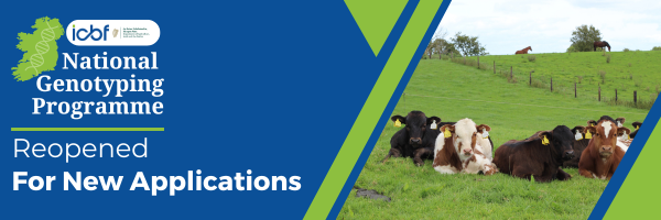 National Genotyping Programme (NGP) opened for new herds on limited basis. Log-into ICBF.com by Aug 20th to apply or see bit.ly/ngpinfo for more information.