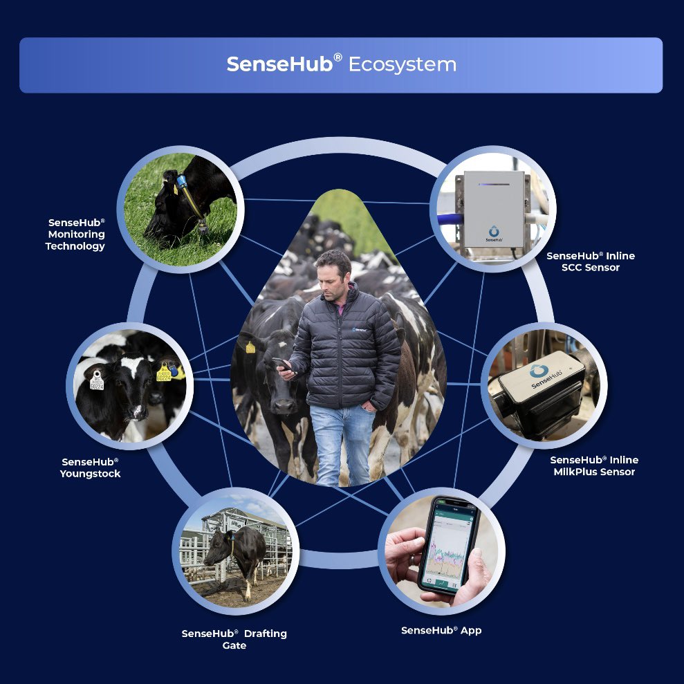 🚨🚨🚨

Our next MSD Animal Health Summer Roadshow is on August 20th on Donal Ronayne’s farm, Claremorris, Co. Mayo (F12 XT62).🙌🐄

🔗 Register now: ow.ly/ffnC50SZph5

#Bovilis #sensehub #thischangeseverything