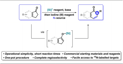 Morandi Lab (@morandilab) on Twitter photo Congrats to <a href="/BenceBBotlik/">Bence B. Botlik</a>, <a href="/icarusofturicum/">Micha Weber</a>, <a href="/FRuepp/">Florian Ruepp</a>, Kazuki Kawanaka and <a href="/PDFinkelstein/">Patrick Finkelstein</a> for this exciting new nitrogen insertion reaction to rapidly access pyridones from cyclopentenones <a href="/angew_chem/">Angewandte Chemie</a> <a href="/ChemRxiv/">ChemRxiv</a>. onlinelibrary.wiley.com/doi/full/10.10… Congrats to <a href="/BenceBBotlik/">Bence B. Botlik</a>, <a href="/icarusofturicum/">Micha Weber</a>, <a href="/FRuepp/">Florian Ruepp</a>, Kazuki Kawanaka and <a href="/PDFinkelstein/">Patrick Finkelstein</a> for this exciting new nitrogen insertion reaction to rapidly access pyridones from cyclopentenones <a href="/angew_chem/">Angewandte Chemie</a> <a href="/ChemRxiv/">ChemRxiv</a>. onlinelibrary.wiley.com/doi/full/10.10…