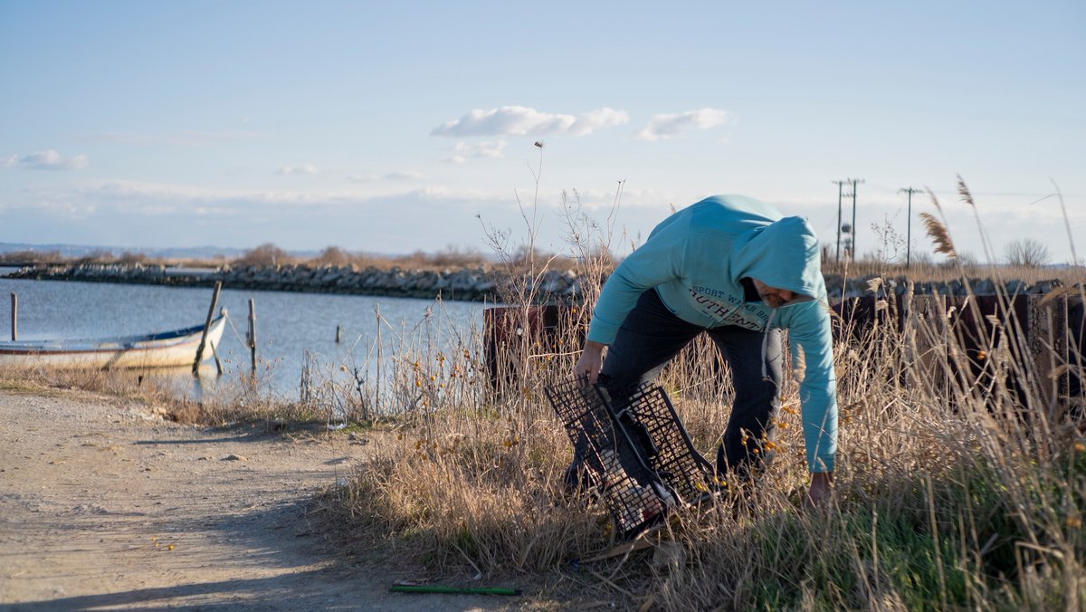 The Helidoni Foundation tweet media