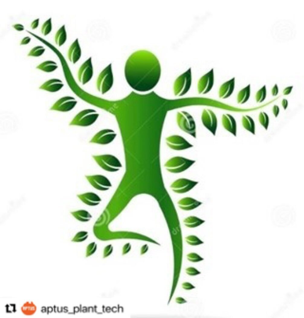 @aptusplanttechjpn ←他の投稿はこちらから

今日の投稿のまとめ📝

植物は人間と同じです！

現代の農業は、作物を果実を生産する機械と見なすことが多いです。しかし、植物は人間と同じくらい複雑な驚くべき生物学的システムです！ほとんどの場合、植物の目標は私たちの目標と一致しています。

#…