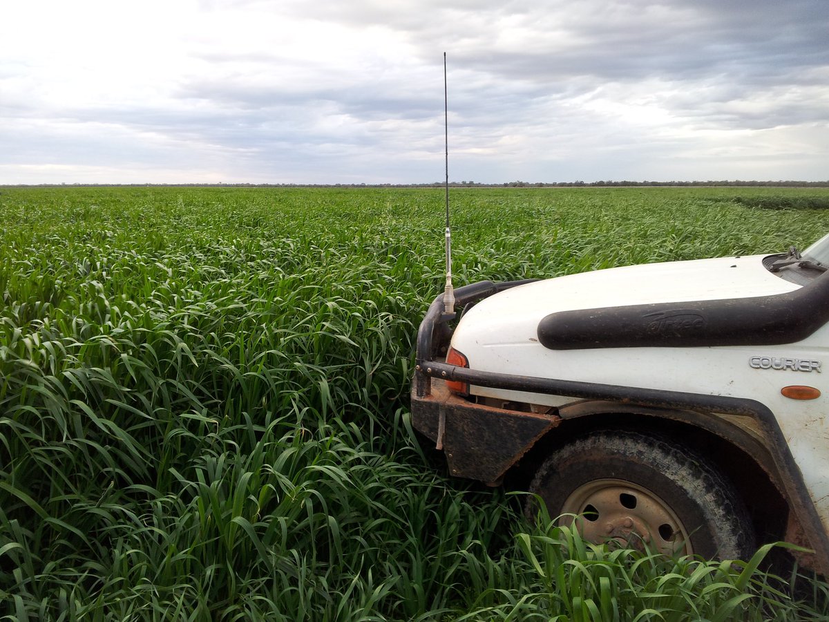 Angus Whyte tweet media