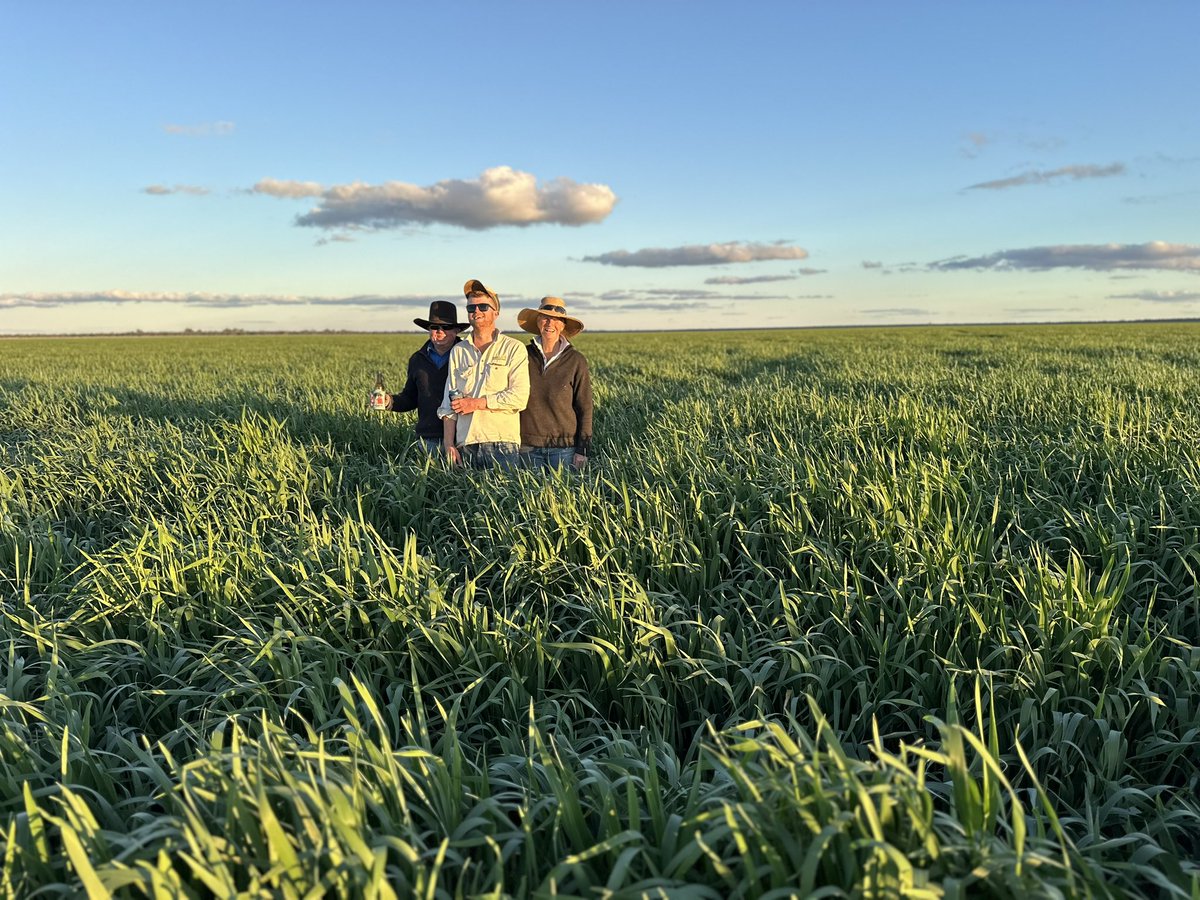 Angus Whyte tweet media