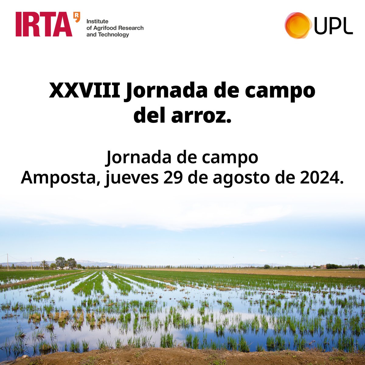 UPL Iberia colabora en la Jornada de Campo del Arroz en la Estación Experimental del Ebro, @IRTA Amposta. Se presentarán ensayos enfocados en la sostenibilidad, eficiencia de recursos, y protección fitosanitaria del cultivo del #arroz. 🌾 #UPLIberia #Sostenibilidad