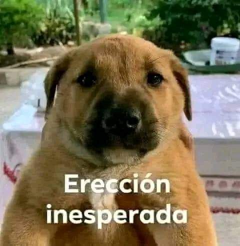 LonsytO's tweet photo. @Leoxyf1 prestameunaferia https://t.co/AA3TNYYbZa