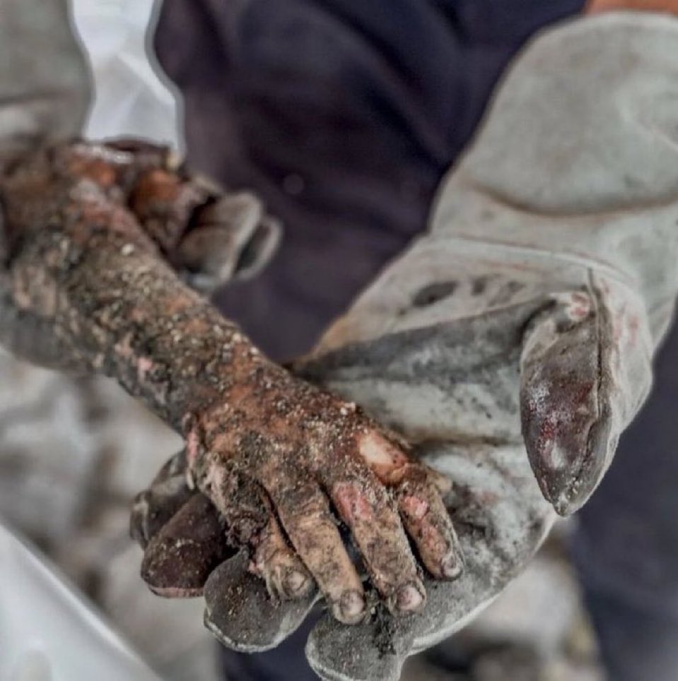 فَوَرَبِّكَ لَنَسۡـَٔلَنَّهُمۡ أَجۡمَعِینَ ۝٩٢ عَمَّا كَانُوا۟ یَعۡمَلُونَ