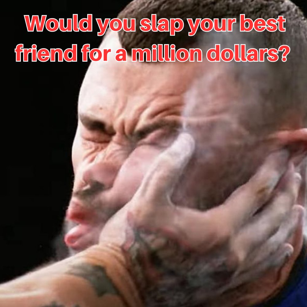 Bastard The Cat tweet media