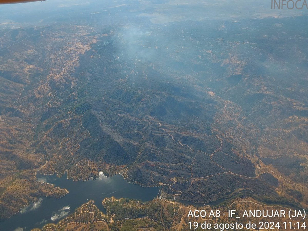 Plan_INFOCA's tweet photo. 🔴 #IFAndújar, ACTIVO. ⏰ 11:15h 

MEDIOS ACTUALIZADOS:
🚁7 helicópteros
🛩️3 de carga en tierra, 2 anfibios ligeros y 2 pesados, 1 #ACO
🚒6 autobombas, Unidad Médica, Unidad de Análisis, Unidad Meteorológica 
🚜2 buldóceres
🧑‍🚒125 efectivos por tierra https://t.co/VGnVdu3NU8