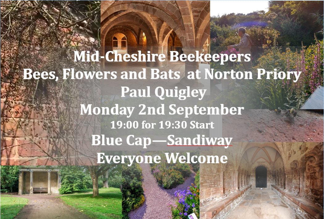 Why not come along?