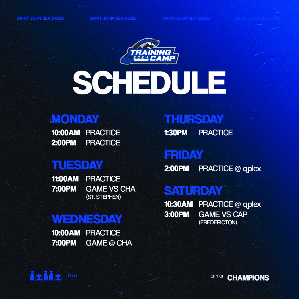 SJSeaDogs's tweet photo. Schedule for week two of #SeaDogsCamp!
Practices take place at the Peter Murray Arena this week, unless otherwise noted.
#GoDogsGo https://t.co/y4LYPt4RoV