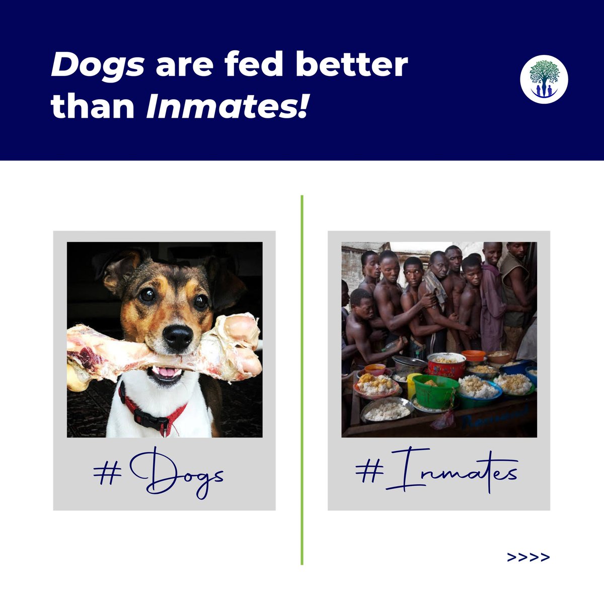Myrtle_Empower's tweet photo. Can 750 naira suffice for three square meal??
This is the harsh reality of inmates in Nigerian prisons, where dogs are fed better than inmates.
#MEF #REACHPROJECT https://t.co/uXdcGYsN6q