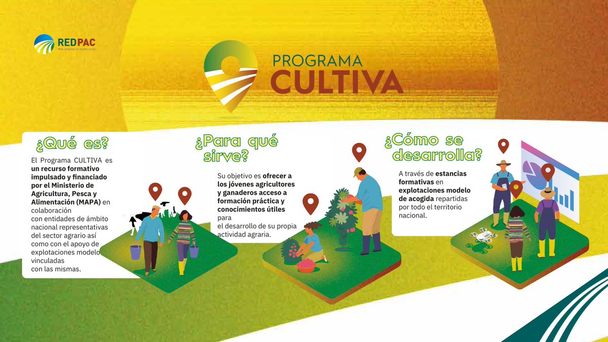 redPAC_'s tweet image. 👉Abierta la convocatoria del #ProgramaCULTIVA del @mapagob para jóvenes agricultor@s y ganader@s
👩‍🌾Un programa de formación práctica gratuita en explotaciones modelo
✍️HASTA 5/09
🗓️Las estancias comienzan en noviembre
🔗INFO y catálogo de explotaciones: bit.ly/3MdzDEc