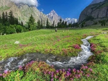 Gwadar_Pro's tweet image. Upper #Kumrat Valley