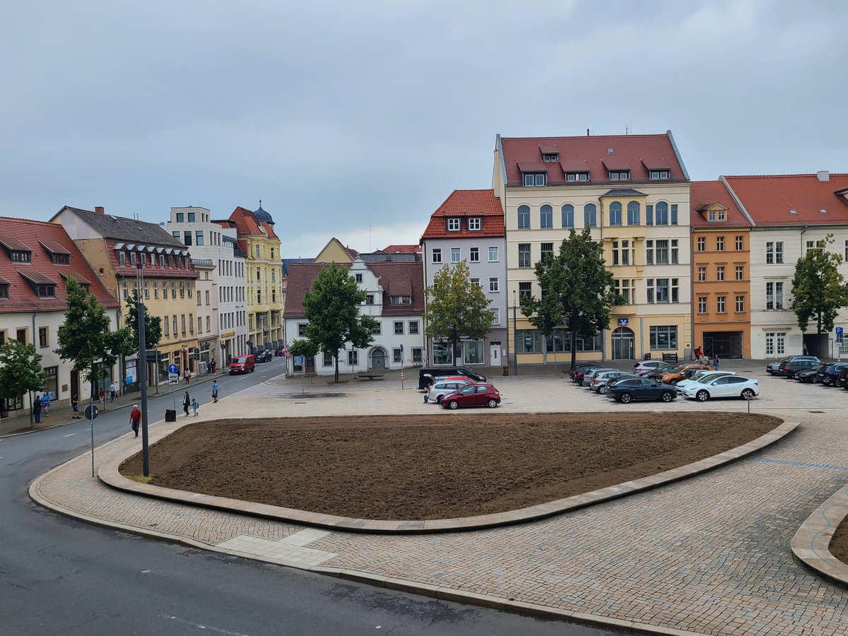 Gemeinsam mit dem #KompetenzGrün-Projekt aktiv werden! Am 21.08.2024 ab 9:30 Uhr wird das KompetenzGrün-Projekt mit der Stadt Zeit vor dem Rathaus das Wildpflanzensaatgut einsäen. Kommen Sie   vorbei und machen Sie mit! #STARK