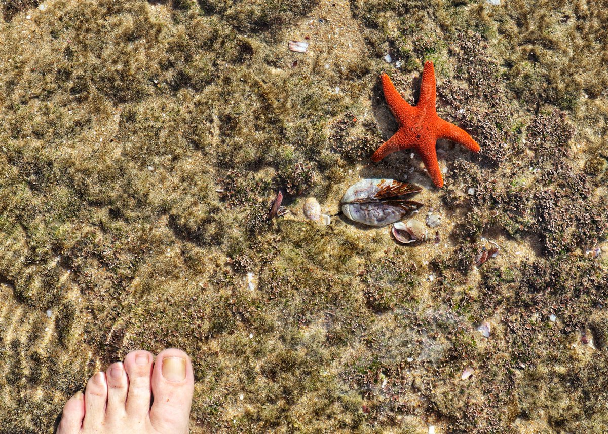 Exploring Gericke's Point - Swartvlei Beach.
+- 2km walk of exploring rock pools &amp; seascapes. 
These fossilised dunes are millions of years old, shaped by nature. They stretch from Wilderness to Knysna and are the highest vegetated fossilised dunes in SAfrica
#gardenroutehike