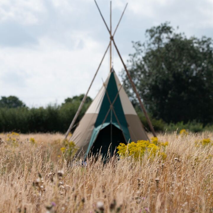 Join <a href="/LtdNattergal/">Nattergal Ltd</a> this August for Wildland Camping, Glamping &amp; Rewilding Tours in the heart of the #BoothbyWildland Lincolnshire 🏕️🦫🌿

It’s not too late to book an August spot while the sun shines! Use code FANDF20 for 20% discount nattergal.co.uk/camping

 #rewilding #camping