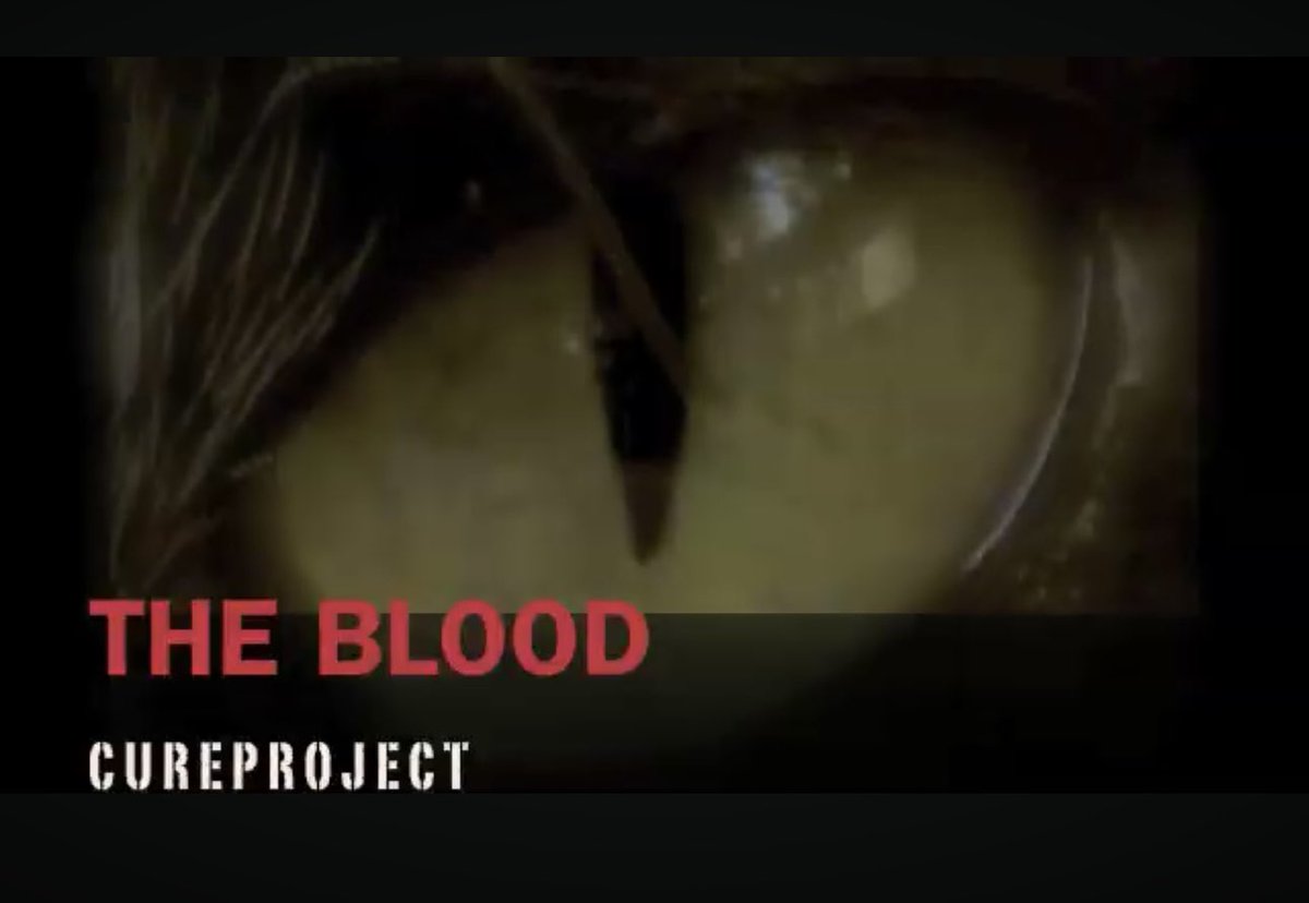 cureproject's tweet photo. https://t.co/OiR3iOiMiN #cureproject TRIBUTE THE BLOOD THE CURE #cover
@theblood @RobertSmith #thecure @latestTheCure #thecureforever @TheCureForever_ https://t.co/NUZqAxzuY3