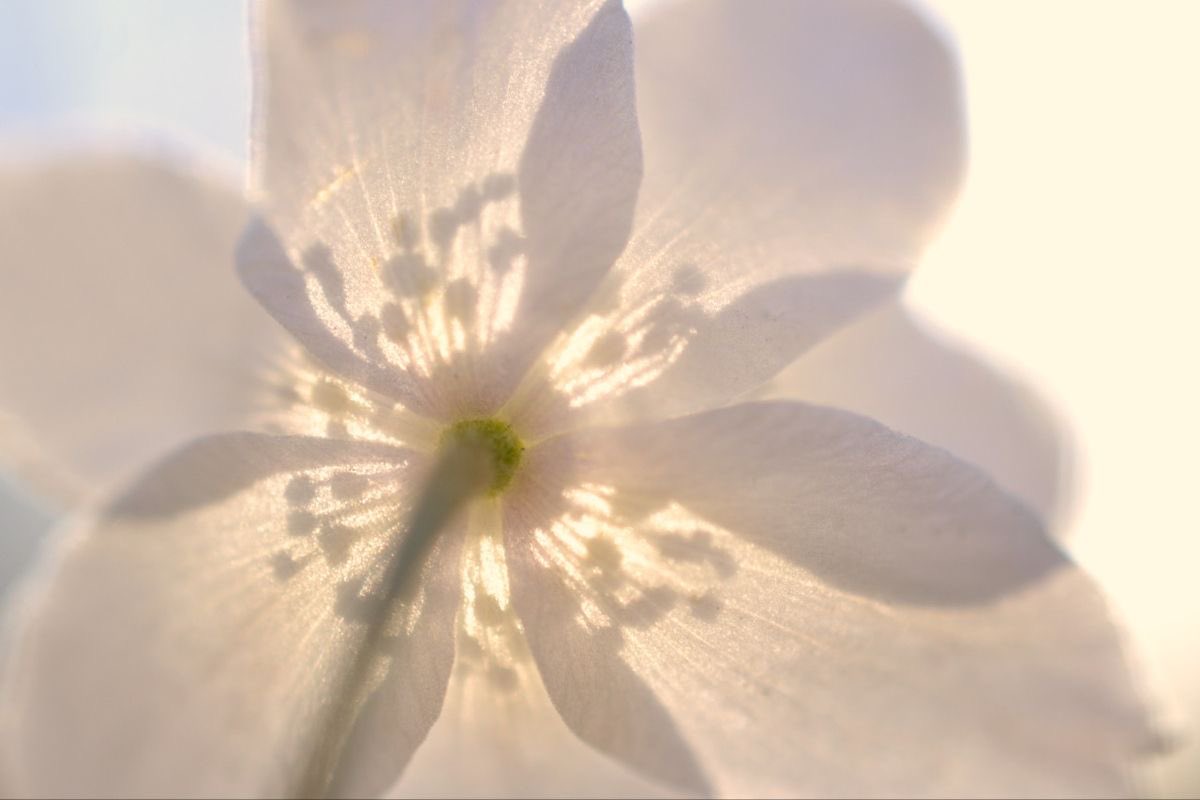 @lacrymarias (@lacrymarias) on Twitter photo 