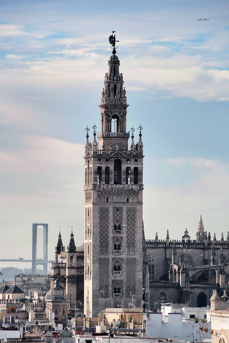 La Giralda, Sevilla.
📸 <a href="/Sebas_Gallardo_/">Sebas Gallardo</a> 
#andaluciayole #andalugrafias #andaluciasolohayuna
#cadiz 
#sevilla 
#malaga 
#huelva 
#jaen 
#granada 
#cordoba
#almeria
#andaluciaparaiso
#andaluciaturismo
#visitaandalucia