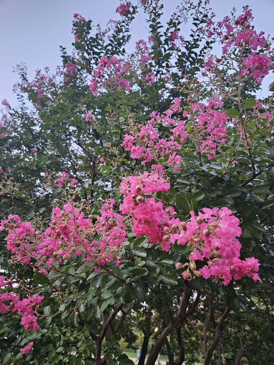 hellopd's tweet image. 자꾸 거꾸로 간다...앞으로 나가야할 때인데...이런 걸 퇴행이라 하던가.