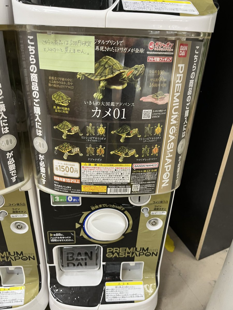 気になったけどさすがに高い🤣
2回やるとするとホンモノのフロリダ買える😂