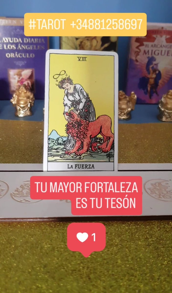 🔴Bienvenido a Mágica Tarot. 🔶️ WEB magicatarot.com
Hora: lunes a viernes 
de 10 a 20 horas 
🔶️RESERVA TU TAROT 
wa.me/+34881258697
🔶️TAROT TELEFÓNICO
Se atiende al día siguiente 
✍️Cada 10min 10€ #tiradadecartasgratis #horoscopo #alma #magiamental #tarot