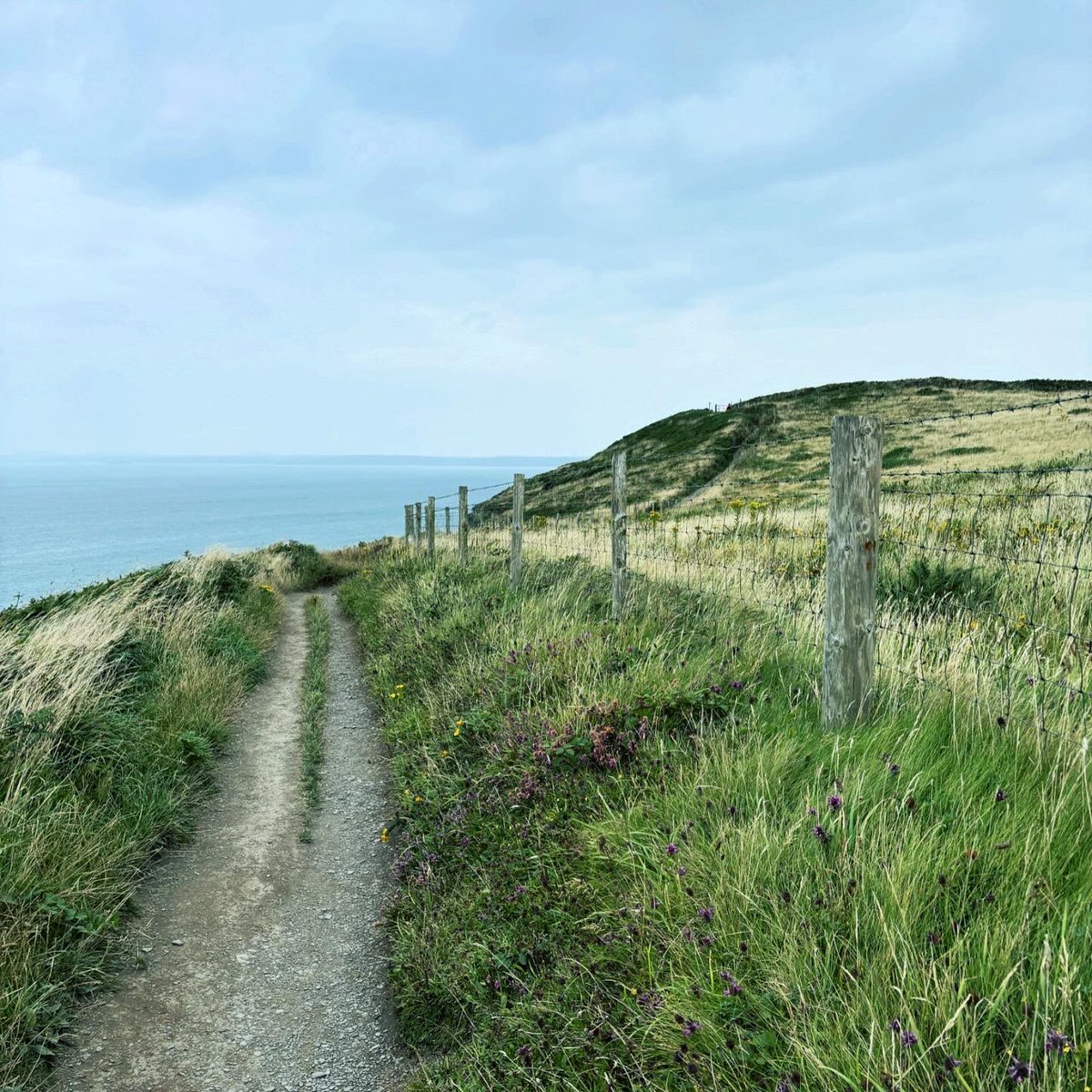 paperclipgirl's tweet photo. Still one of the most beautiful places to run.
#amrunning #hillrunning #walesadventure #coastalpath #runningmotivation https://t.co/QOTuCtd64T