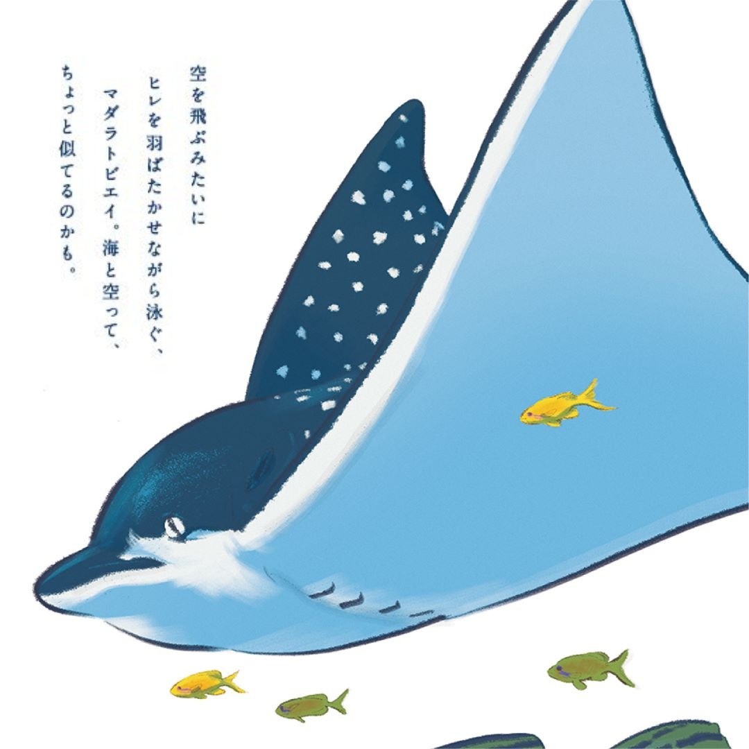 🐬海の生きもの ひみつシリーズ⑫🐬 「マダラトビエイ」 空を飛ぶ