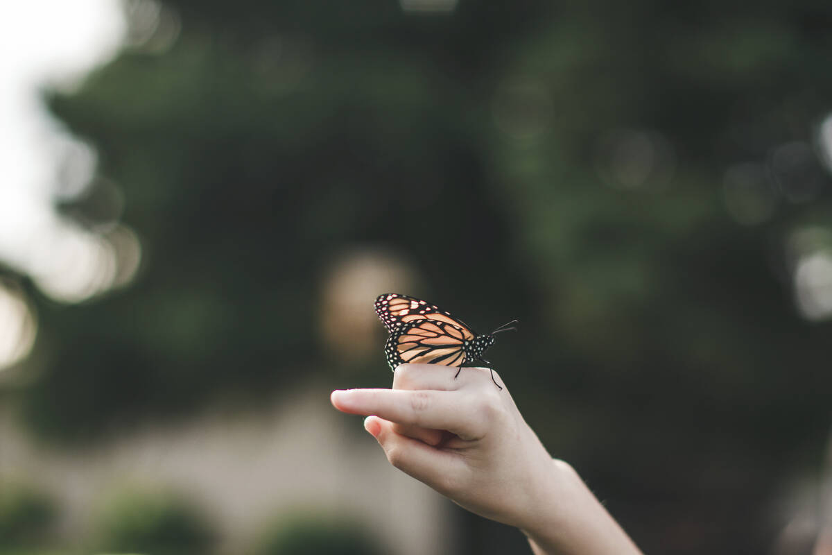 THL:n Turva ja suojelu -yksikkö järjestää 2.12. klo 11.30-16 Väkivaltatutkimus halki tieteiden kentän III -seminaarin, jossa esitellään monipuolista väkivaltaan liittyvää tutkimusta eri tieteenaloilta ympäri Suomen.
👉Katso ohjelma ja ilmoittaudu mukaan: thl.fi/ajankohtaista/…