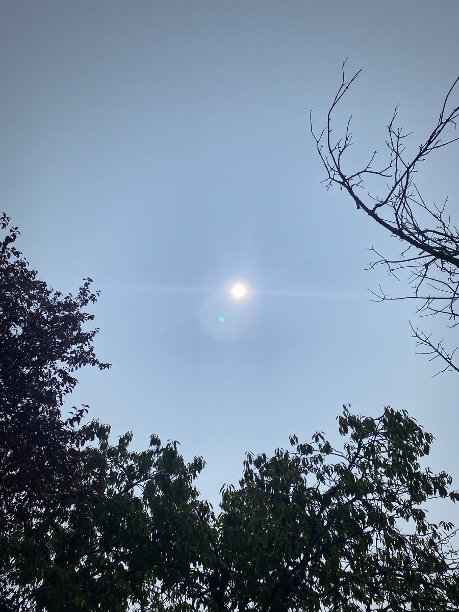 Avez-vous remarqué la couleur du ciel et du soleil?? C’est certainement la fumée des feux d’Amérique du Nord. Carbon dust from Canada.