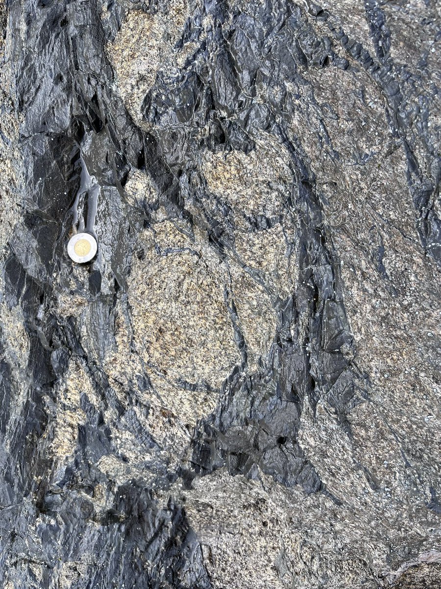 Some #fault zone structures from the weekend. Beautiful. 18km round trip. 800m elevation gain. Kilos of extra weight on the way down 😉. Picked up at the parking lot by my patient gf at 9:45pm. Still recovering 🥱. #pseudotachylytes #geologizinglikeamoho #geology