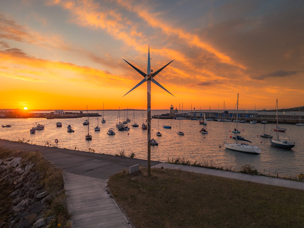 Sryan Bruen Photography tweet media