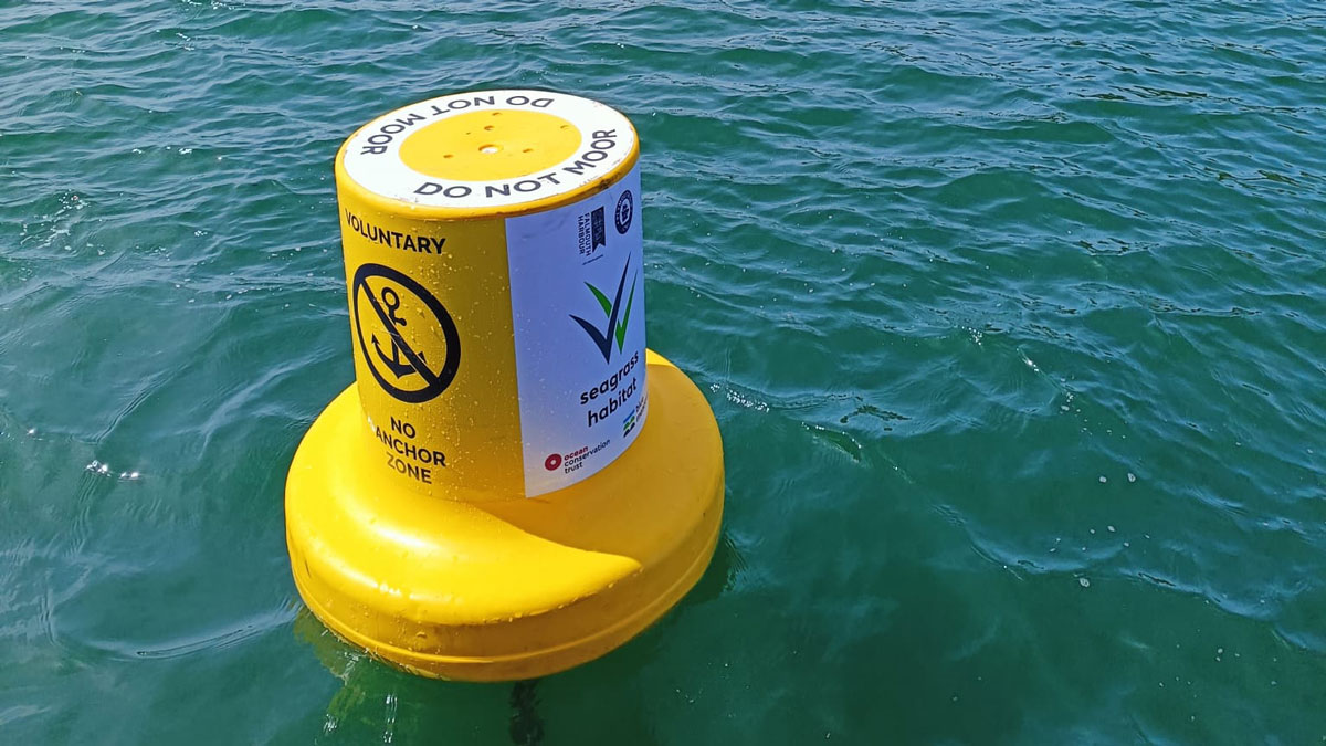 New marker buoys to mark voluntary no-anchor zone installed off Falmouth trib.al/0bUzOAq