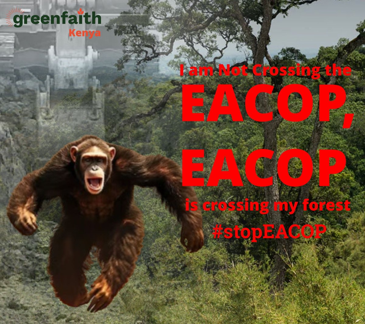 EACOP is not just committing injustices to human beings only but  to a number of iconic and endangered animals, such as lions, elands, lesser kudu, buffalo, impalas, hippos, giraffes, roan antelopes, sitatungas, sables, zebras, aardvarks, and the red colobus monkey.

#StopEACOP