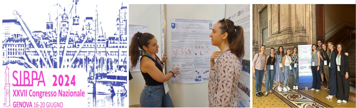 🚀Congrats to Fausta Desantis for sharing her work on AL amyloidosis at three scientific events: the "4th Meeting of Young Biophysicists-Biophysics Festival" (Covilhã, Portugal), the "PoLS Annual Meeting" (Trieste) and the "SIBPA XXVII National Congress" (Genoa).