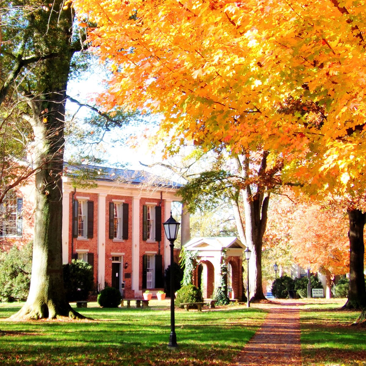 Hello! Davidson College is looking to fill a new tenure-track position in film production. Due Oct 15, 2024. More at …ci-saasfaprod1.fa.ocs.oraclecloud.com/hcmUI/Candidat…