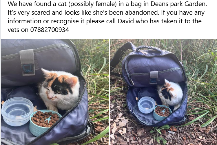 Sorcha Ní Ruaidh tweet media