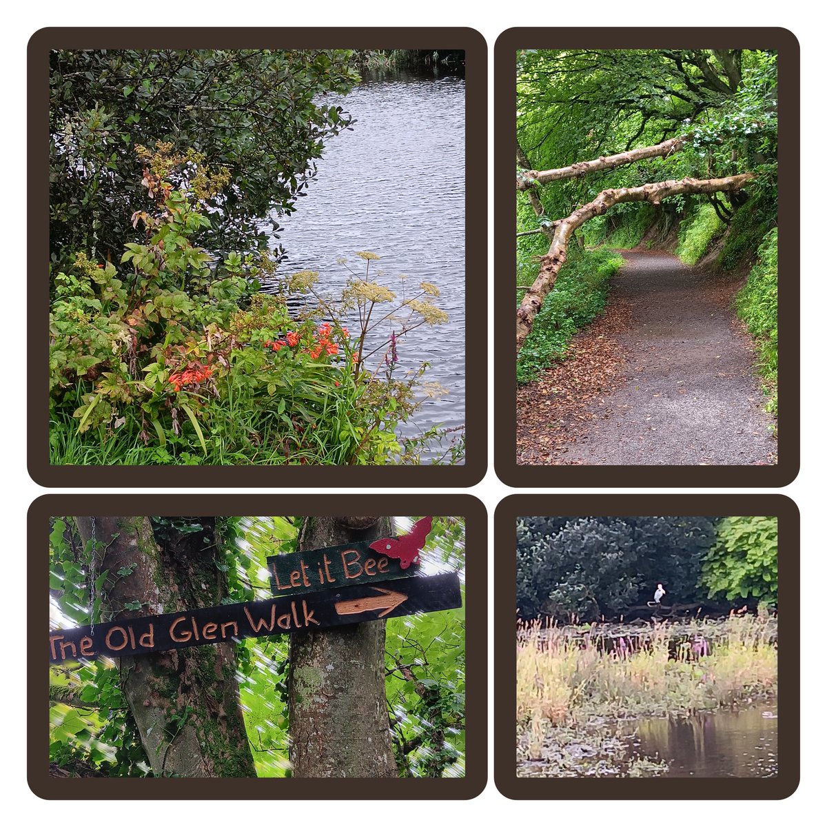 Johnny McCaw (@johnnymccaw) on Twitter photo Plenty colour and distractions around the <a href="/Fallshotel/">Falls Hotel & Spa</a> walk this Monday morning.
#300daysofwalking day 232. Plenty colour and distractions around the <a href="/Fallshotel/">Falls Hotel & Spa</a> walk this Monday morning.
#300daysofwalking day 232.