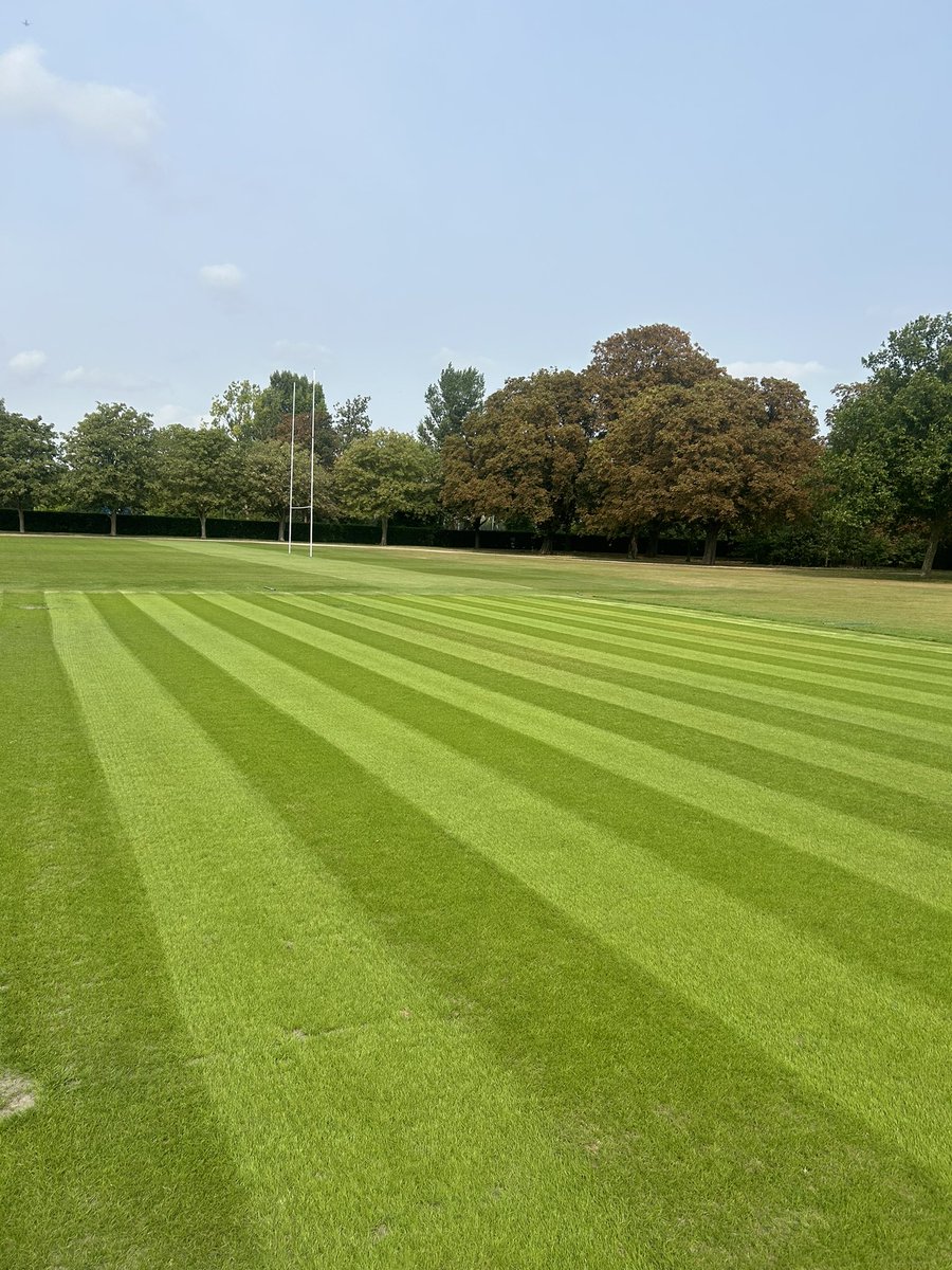 luke beard tweet media