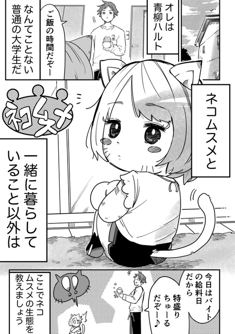 猫っぽい女の子の"トリセツ"  (1/3) 