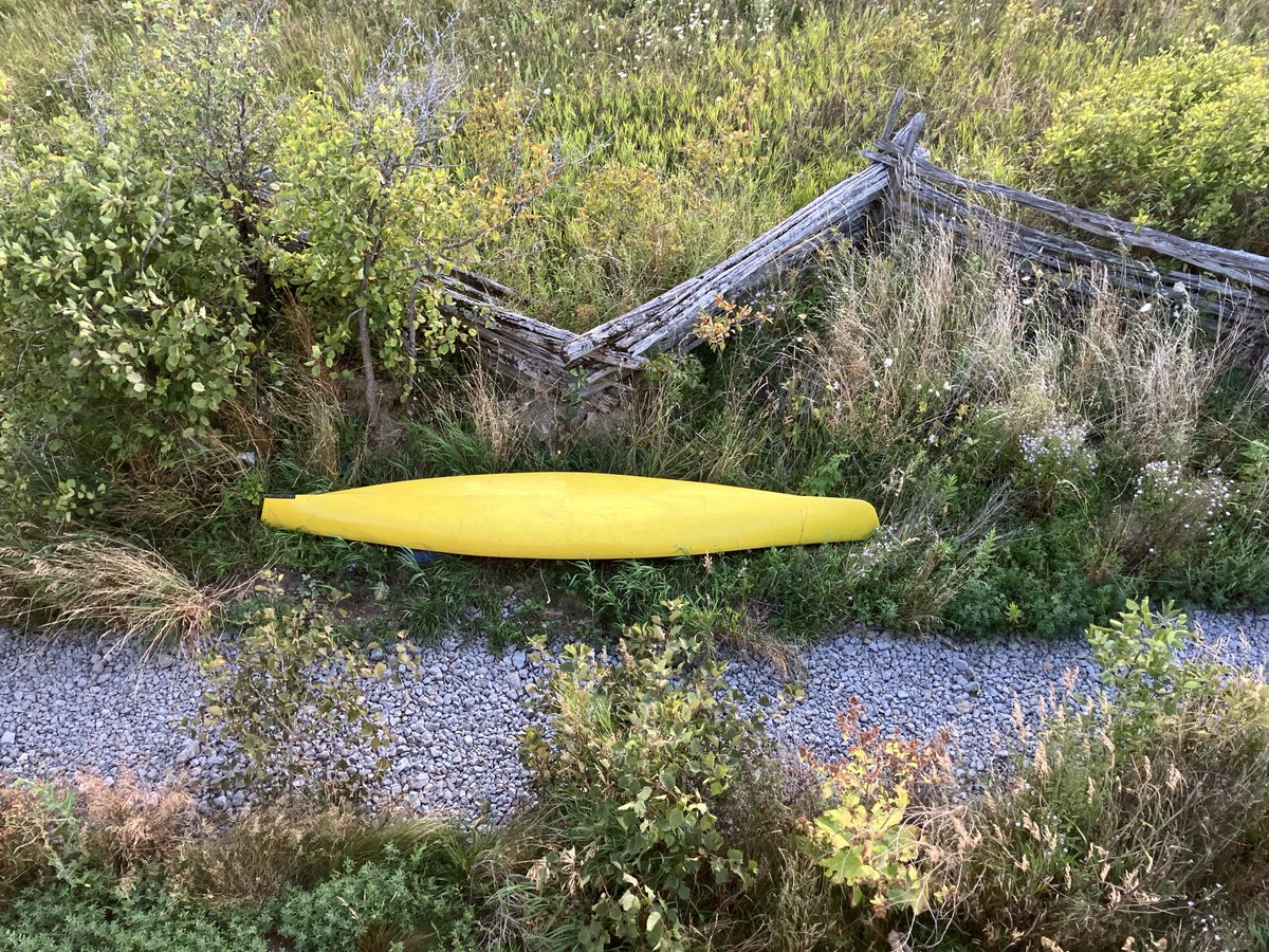 Emmanuelle Lamoureux tweet media