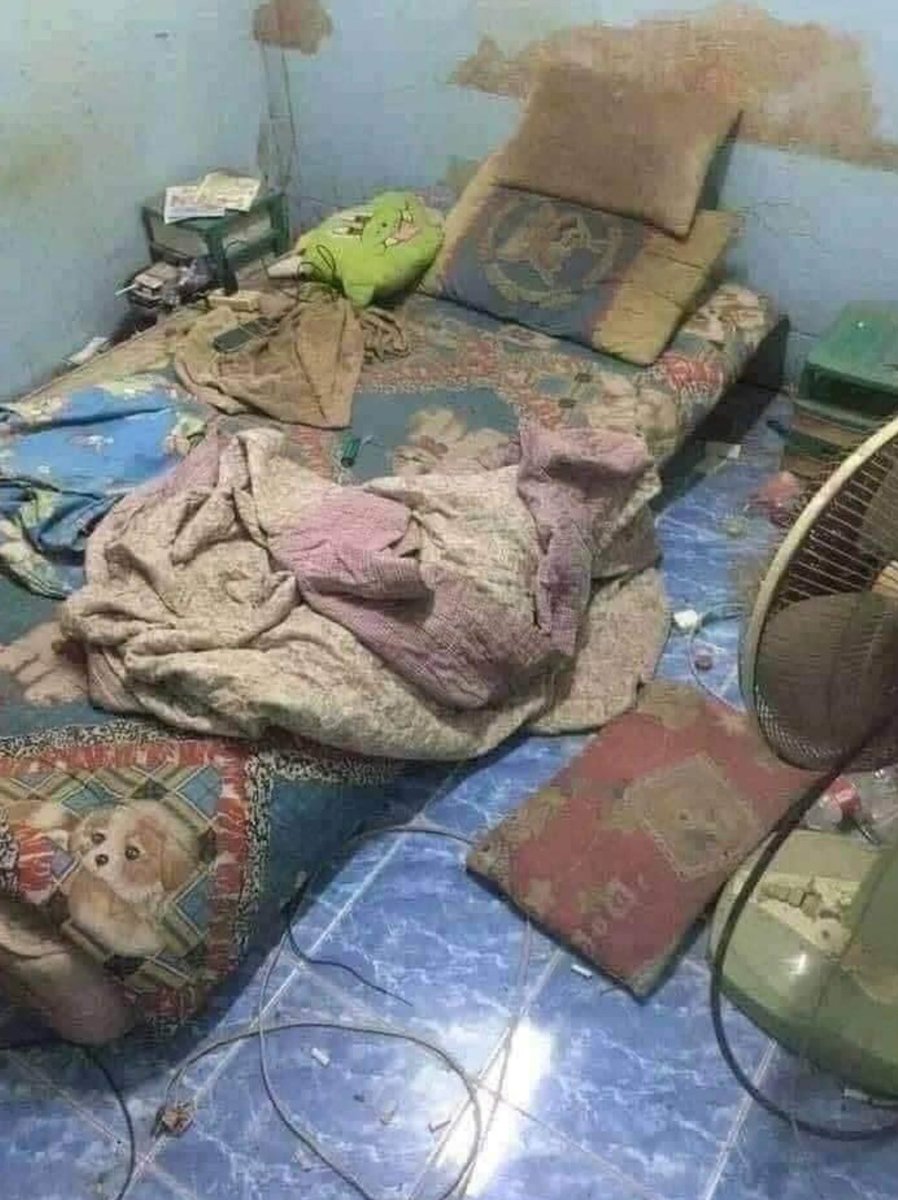 Dilan Polat'ın serbest kalmasına sevinenlerin evi;

#dilanpolat #enginpolat