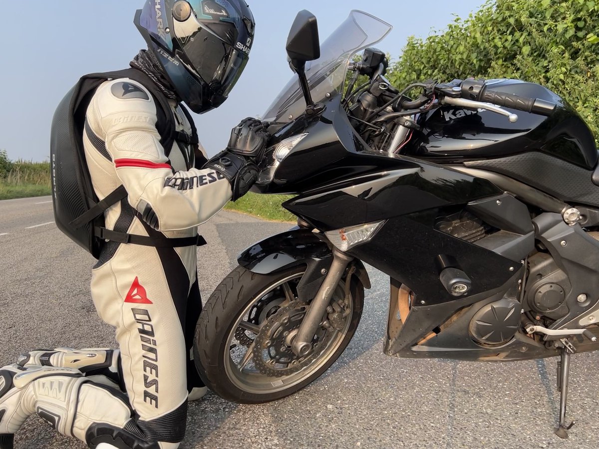 Vowxypup tweet media