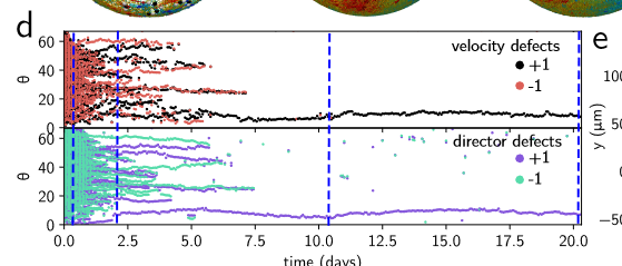 Martin Collinson #BLM tweet media